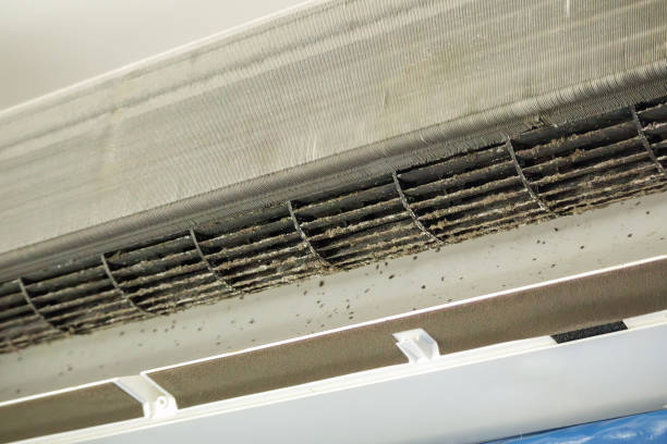 Best HVAC Duct Inspection Services  in Dentsville, SC